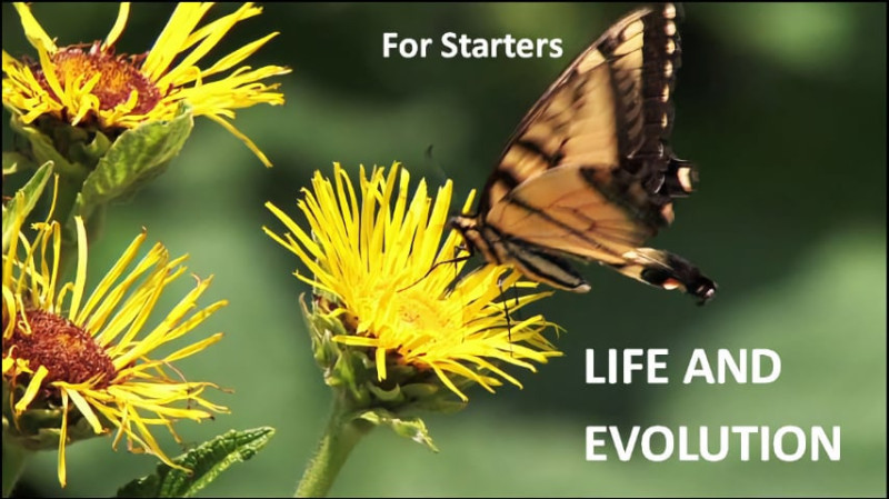 The God Question for Starters Episode 2:  Life and Evolution