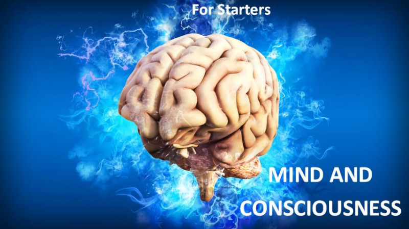 The God Question for Starters Episode 3: Mind and Consciousness