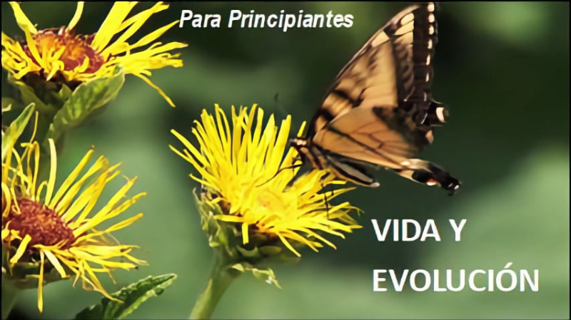 Vida y Evolución